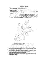 Referāts 'Ūdenstilpņu eitrofikācija', 10.