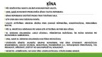 Prezentācija 'Padomju Savienība 50.-70.gados', 13.