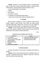 Referāts 'Medicīniskie produkti brūču aprūpei', 11.