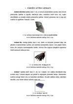 Referāts 'Medicīniskie produkti brūču aprūpei', 13.