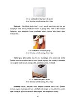 Referāts 'Medicīniskie produkti brūču aprūpei', 16.