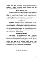 Prakses atskaite 'Prakses atskaite mārketinga komunikāciju departamentā AAS "Balta"', 9.