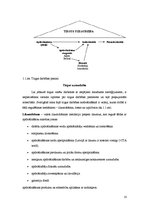Prakses atskaite 'Prakses atskaite mārketinga komunikāciju departamentā AAS "Balta"', 10.
