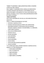 Prakses atskaite 'Prakses atskaite mārketinga komunikāciju departamentā AAS "Balta"', 17.