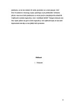 Prakses atskaite 'Prakses atskaite mārketinga komunikāciju departamentā AAS "Balta"', 25.