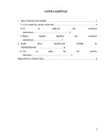 Referāts 'Ielu sociālais darbs', 3.