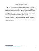 Referāts 'Ielu sociālais darbs', 4.