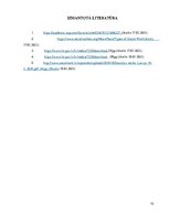 Referāts 'Ielu sociālais darbs', 10.