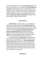 Konspekts 'Luminiscence', 2.