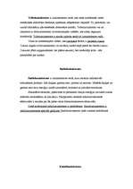 Konspekts 'Luminiscence', 3.