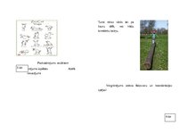 Prezentācija 'Grāmata "Kaķēna Tito piedzīvojumi"', 5.