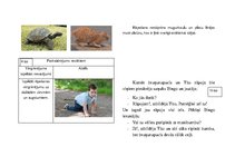 Prezentācija 'Grāmata "Kaķēna Tito piedzīvojumi"', 8.