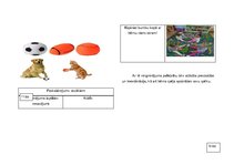 Prezentācija 'Grāmata "Kaķēna Tito piedzīvojumi"', 9.