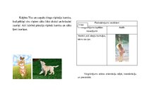 Prezentācija 'Grāmata "Kaķēna Tito piedzīvojumi"', 10.