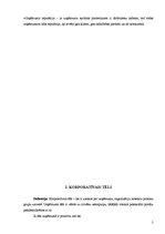 Referāts 'Korporatīvā identitāte viesmīlības nozarē', 5.