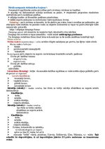 Konspekts 'Koku tirdzniecība', 7.