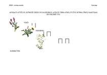 Konspekts 'Darba lapas mūzikā', 2.