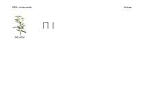 Konspekts 'Darba lapas mūzikā', 3.