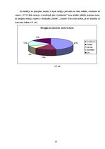 Referāts 'Matu krāsu sastāvs un ietekme', 20.