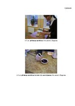 Referāts 'Matu krāsu sastāvs un ietekme', 29.