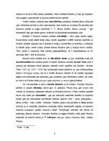 Referāts 'Valērija Brjusova romāns "Ugunīgais eņģelis" krievu sudraba laikmeta kontekstā', 9.