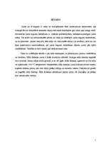 Referāts 'Keramikas jumtu seguma materiāli', 2.