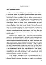 Referāts 'Keramikas jumtu seguma materiāli', 3.