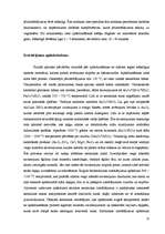 Referāts 'Keramikas jumtu seguma materiāli', 12.