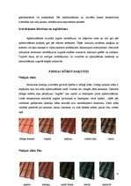 Referāts 'Keramikas jumtu seguma materiāli', 13.