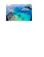 Konspekts 'Kaktu valsts Tuvalu', 4.