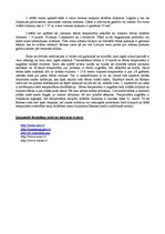 Referāts 'Ezeru morfometrisko raksturlielumu noteikšana un ezera termiskais režīms. Rāznas', 4.