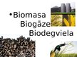 Prezentācija 'Latvijas vietējie enerģētiskie resursi', 8.