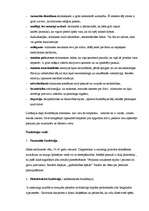 Referāts 'Šizofrēnija', 5.