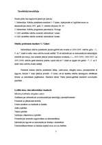 Konspekts 'Informātikas mācību metodika pamatskolā un vidusskolā', 3.