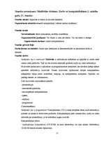 Konspekts 'Informātikas mācību metodika pamatskolā un vidusskolā', 13.