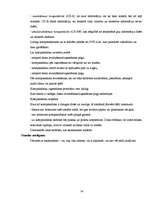 Konspekts 'Informātikas mācību metodika pamatskolā un vidusskolā', 14.