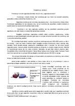 Referāts 'Prostitūcija Latvijā', 3.