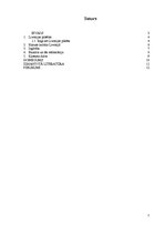 Referāts 'Kultūra viduslaiku Livonijā', 2.