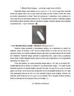 Referāts 'Bakteriālās iedegas', 6.