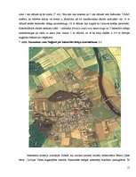 Referāts 'Bakteriālās iedegas', 15.