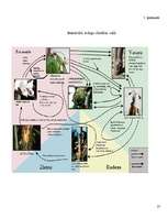 Referāts 'Bakteriālās iedegas', 27.