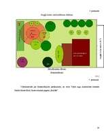 Referāts 'Bakteriālās iedegas', 29.