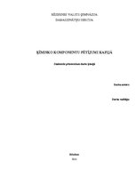 Referāts 'Ķīmisko komponentu pētījumi kafijā', 1.