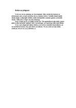 Referāts 'Zelta zivtiņas', 4.