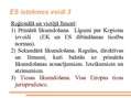 Referāts 'Eiropas Savienības ietekme uz nacionālajām administrācijām', 5.