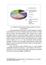 Diplomdarbs 'Ārvalstu investīciju piesaistes iespējas Latvijā', 23.