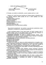 Konspekts 'Jautājumi un atbildes studiju kursā krimināltiesības', 20.