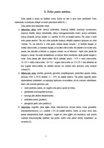 Referāts 'Zobu pastas Latvijā', 5.