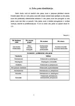 Referāts 'Zobu pastas Latvijā', 7.