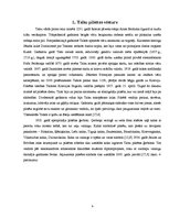 Referāts 'Talsu pilsētas svētku vēsture no 2001. līdz 2011.gadam', 6.